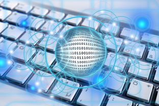 九游网页版入口-篮球专项技能教学创新实践及效果评估，篮球教学实施报告 教学能力比赛