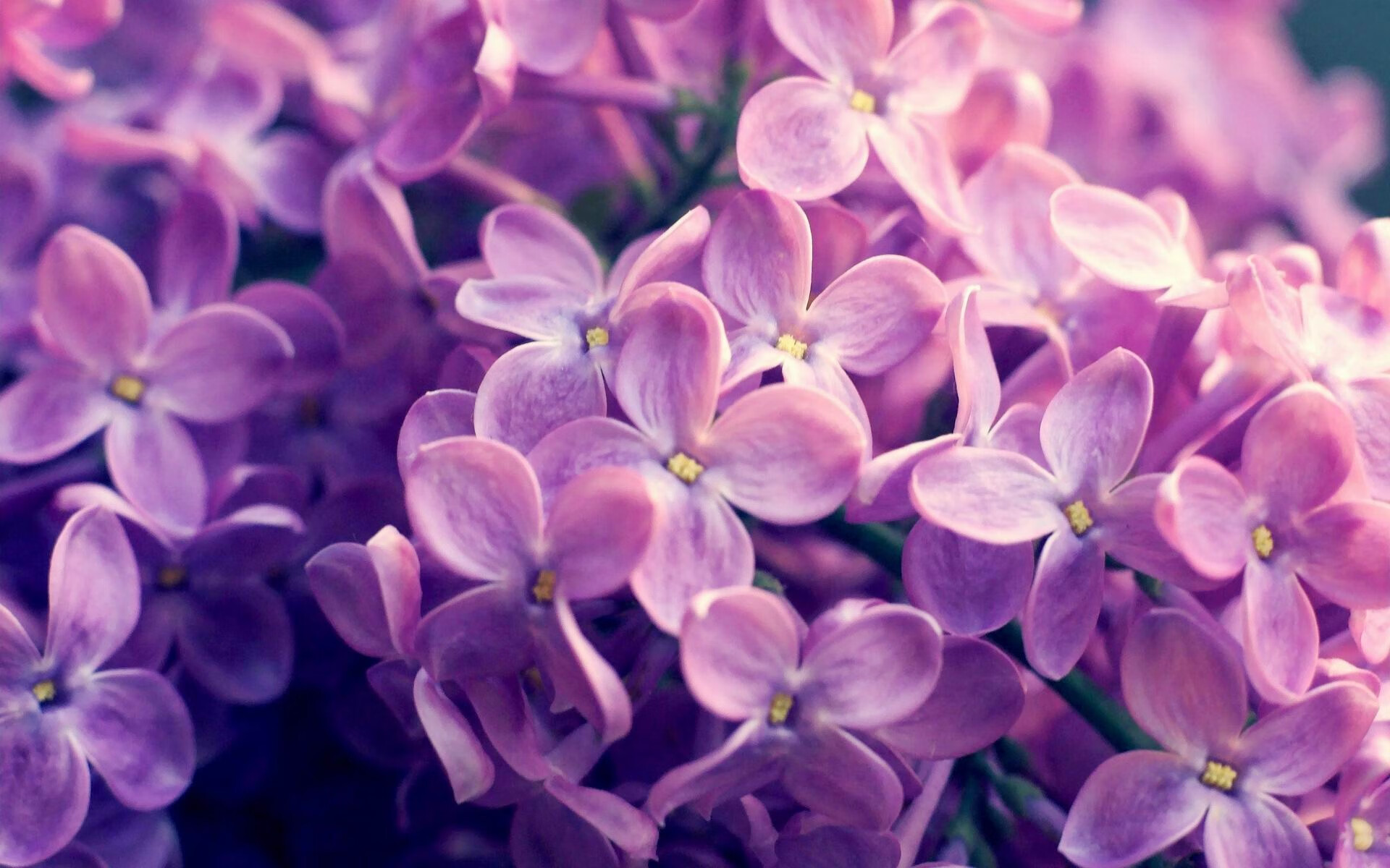 九游网页版官网-尼尔·巴特尔在橄榄球赛场上的稳定表现，提升袋鼠队整体实力，巴特尔防奥尼尔