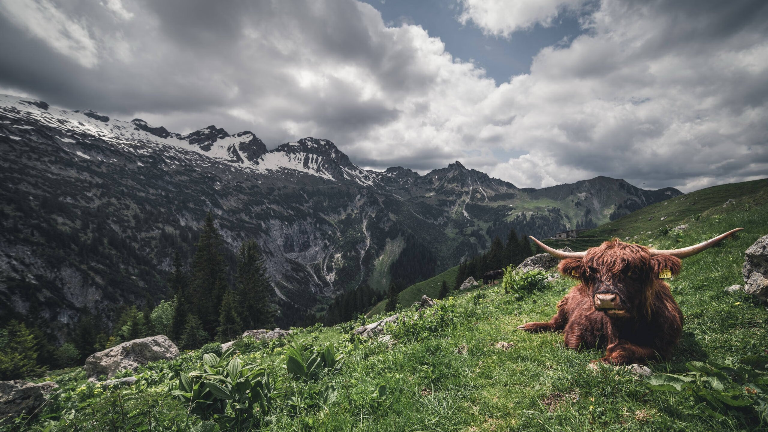 新兴联赛崭露头角,挑战传统顶级联赛地位,新兴球队