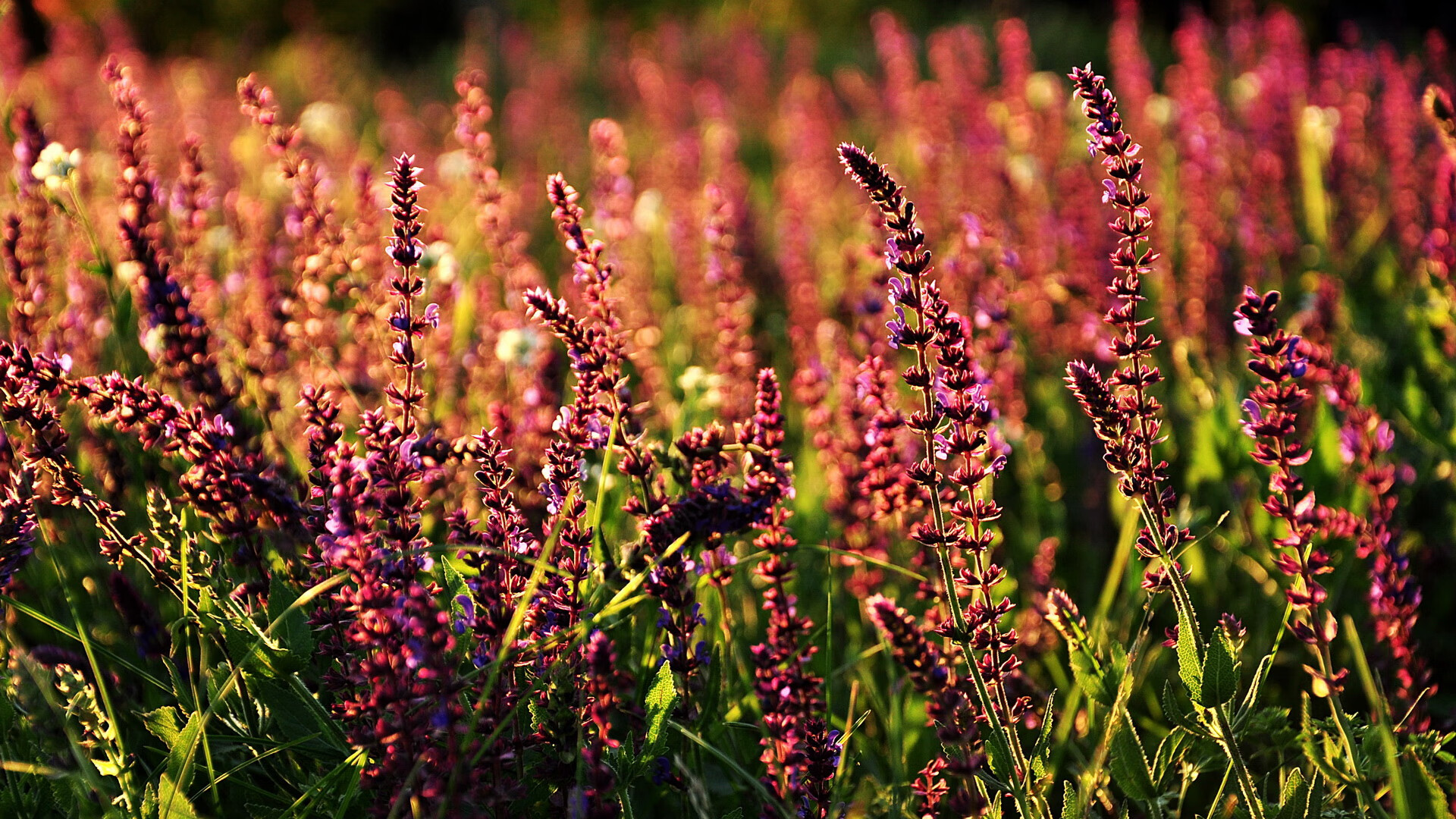 篮网新球员首次亮相合练状态良好,篮网队新球员名单