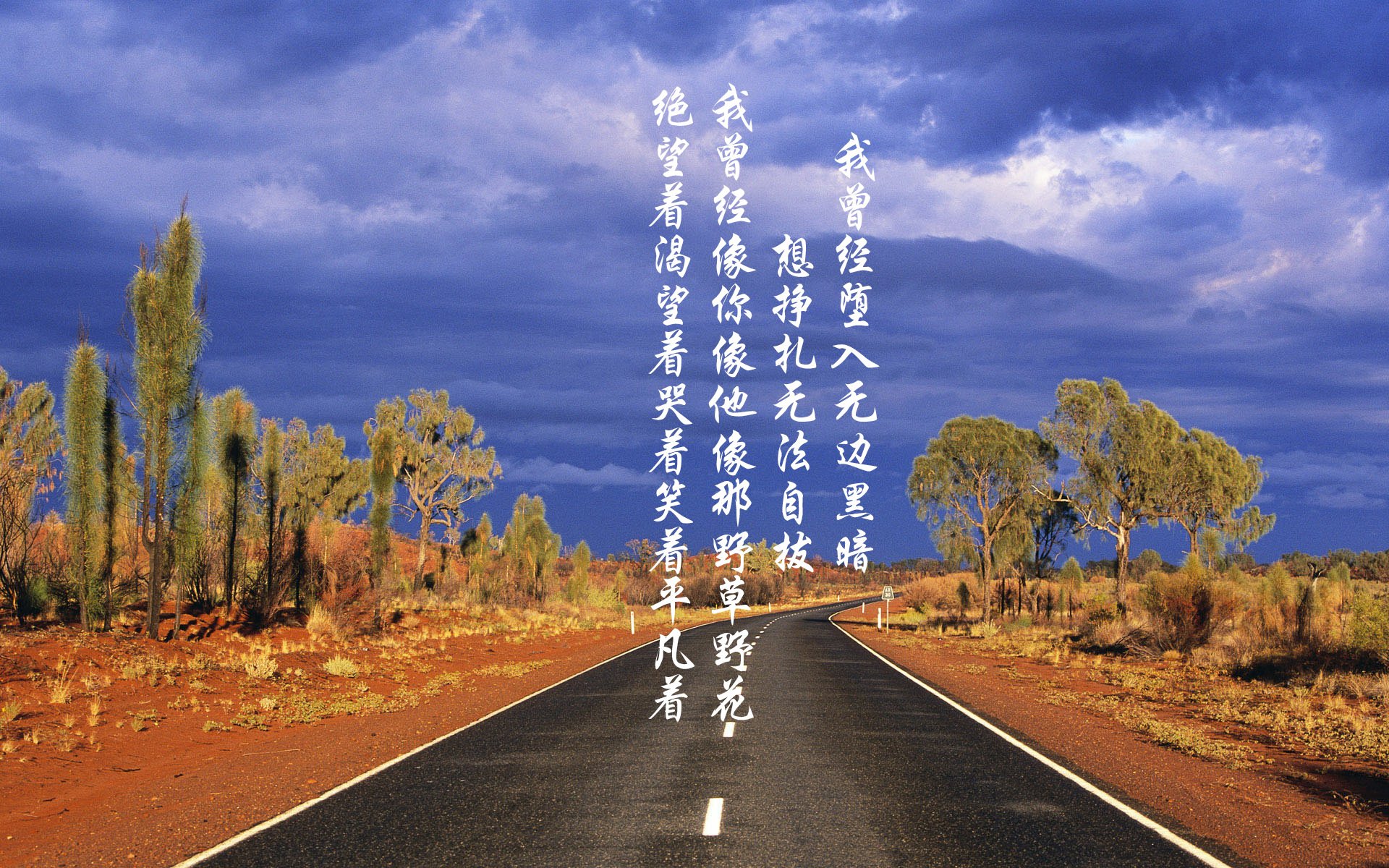 九游网页版官网-美洲杯明星全场：技艺与胆识的完美呈现，美洲杯有哪些明星